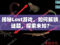揭秘Lost游戲，如何解鎖謎題，探索未知？