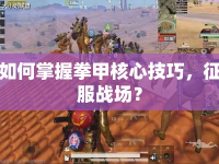 如何掌握拳甲核心技巧，征服戰(zhàn)場？