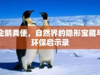 企鵝糞便，自然界的隱形寶藏與環(huán)保啟示錄
