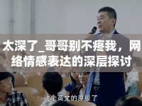 太深了_哥哥別不疼我，網(wǎng)絡(luò)情感表達的深層探討