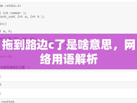 拖到路邊c了是啥意思，網(wǎng)絡(luò)用語解析