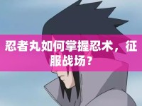 忍者丸如何掌握忍術(shù)，征服戰(zhàn)場？