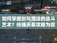如何掌握劍與魔法的戰(zhàn)斗藝術(shù)？侍魂天草攻略為你揭秘！