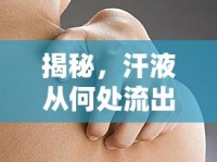 揭秘，汗液從何處流出？