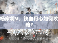 楊家將V，鐵血丹心如何攻略？