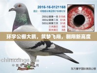 環(huán)宇公棚大鵬，筑夢飛翔，翱翔新高度