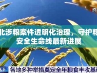 東北涉糧案件透明化治理，守護(hù)糧食安全生命線最新進(jìn)展