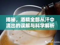 揭秘，酒精全部從汗中流出的誤解與科學(xué)解析