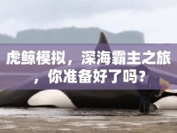 虎鯨模擬，深海霸主之旅，你準備好了嗎？
