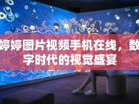 婷婷圖片視頻手機在線，數字時代的視覺盛宴