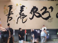 尋仙手游捉寵很難？這份攻略讓你從小白秒變大神！