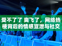 受不了了 爽飛了，網(wǎng)絡(luò)熱梗背后的情感宣泄與社交狂歡