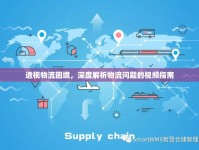 透視物流困境，深度解析物流問(wèn)題的視頻指南