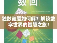 獨數(shù)謎題如何解？解鎖數(shù)字世界的智慧之旅！