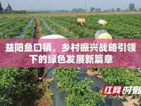益陽(yáng)魚(yú)口鎮(zhèn)，鄉(xiāng)村振興戰(zhàn)略引領(lǐng)下的綠色發(fā)展新篇章