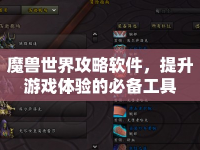 魔獸世界攻略軟件，提升游戲體驗(yàn)的必備工具