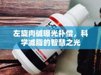 左旋肉堿曝光補(bǔ)償，科學(xué)減脂的智慧之光