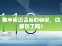 數字密語背后的秘密，你解鎖了嗎？