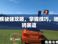 疾駛豬攻略，掌握技巧，馳騁賽道