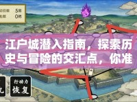 江戶城潛入指南，探索歷史與冒險的交匯點，你準(zhǔn)備好了嗎？