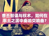 曹丕智謀與權(quán)術(shù)，如何在率土之濱中奏響交響曲？