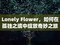 Lonely Flower，如何在孤獨(dú)之境中綻放奇妙之旅？