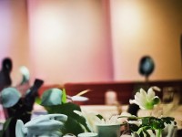 夢幻誅仙手游金幣總是不夠用？這份高效獲取與使用的終極攻略你看了嗎？