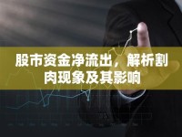 股市資金凈流出，解析割肉現(xiàn)象及其影響