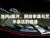 絲內(nèi)s圖片，網(wǎng)絡(luò)審美與藝術(shù)表達(dá)的碰撞