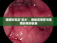 咀嚼時(shí)耳朵‘流水’，揭秘耳咽管與咀嚼的奇妙聯(lián)系