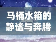 馬桶水箱的靜謐與奔騰，一場(chǎng)水之舞的奇妙旅程