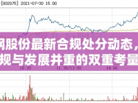 沙鋼股份最新合規(guī)處分動(dòng)態(tài)，合規(guī)與發(fā)展并重的雙重考量