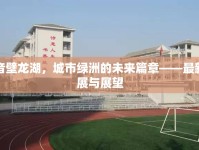 回音壁龍湖，城市綠洲的未來篇章——最新進展與展望