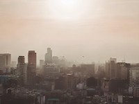 如何輕松獲取海量元寶，讓青云志手游更順暢？