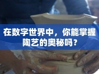 在數(shù)字世界中，你能掌握陶藝的奧秘嗎？