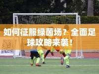 如何征服綠茵場(chǎng)？全面足球攻略來襲！