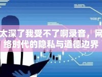 太深了我受不了啊錄音，網(wǎng)絡(luò)時代的隱私與道德邊界