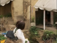麒麟坐騎降臨誅仙手游，神話與夢幻如何交織？