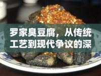 羅家臭豆腐，從傳統(tǒng)工藝到現(xiàn)代爭議的深度揭秘