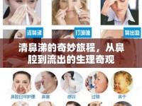 清鼻涕的奇妙旅程，從鼻腔到流出的生理奇觀