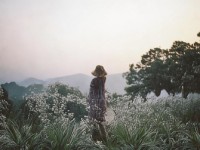 日日操天天到底有何獨(dú)特魅力，讓你欲罷不能？