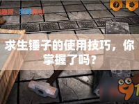求生錘子的使用技巧，你掌握了嗎？