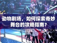 動(dòng)物劇場(chǎng)，如何探索奇妙舞臺(tái)的攻略指南？