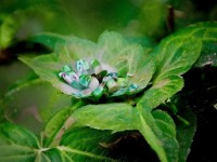 夢幻手游公示暗藏玄機？3分鐘看懂如何避免被坑！，的優(yōu)化點，，用暗藏玄機制造懸念感，3分鐘看懂承諾快速獲取有價值信息，避免被坑直擊玩家痛點，問號+感嘆號雙重引導(dǎo)，數(shù)字具體化提升可信度