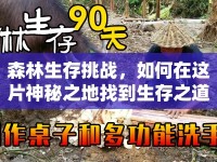 森林生存挑戰(zhàn)，如何在這片神秘之地找到生存之道？