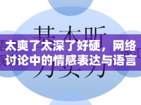 太爽了太深了好硬，網(wǎng)絡(luò)討論中的情感表達與語言現(xiàn)象