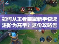 如何從王者榮耀新手快速進(jìn)階為高手？這份攻略告訴你！