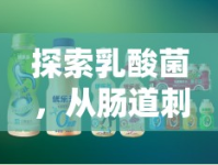 探索乳酸菌，從腸道刺激到健康新紀(jì)元的奇妙之旅