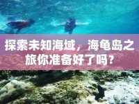 探索未知海域，海龜島之旅你準(zhǔn)備好了嗎？