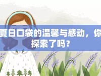 夏日口袋的溫馨與感動，你探索了嗎？